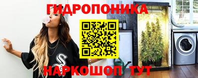 индика Волжский